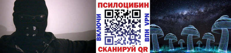 Галлюциногенные грибы Psilocybe  Керчь 